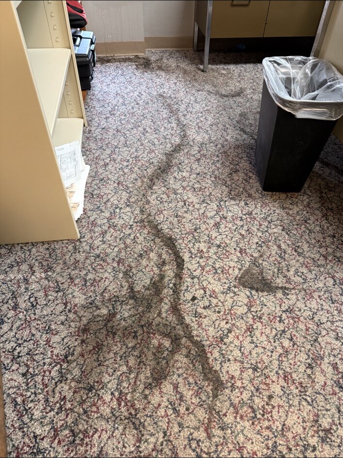 Deep carpet treatment